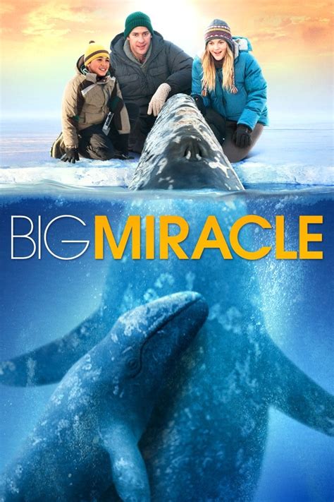 Introduction Watch Big Miracle Movie